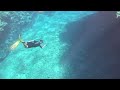 Niue reef shark dive