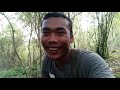 Catch wild Chicken in Jungle - (ទាក់មាន់ព្រៃ )