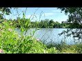 Sunny Morning by the Lake | Present Moments | Swan Sightings