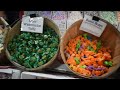 A Visit to Candy Heaven