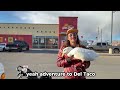 I took my duck to Del Taco 🌮