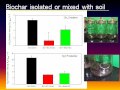 Impacts of Biochar Additions on Soil Microbial Processes and Nitrogen Cycling