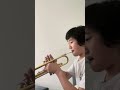Mark Fu trumpet audition2