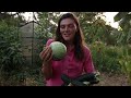 HARVESTING Summer Veggies - Garden Tour July 2022