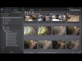 PhotoDirector 6 - Organize Your Photo Collection More Efficiently with Stacks