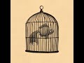 Rule #4 - Fish in a Birdcage