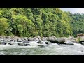 River Forest Atmosphere with Natural Sounds | Relaxing Mountain Stream for Sleep & Meditation