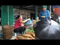 Harvest Wild Tubers Goes to the market to sell l Lý Thị Ca