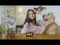 Pet Food Labels🐶 How to Read Pet Food Labels 🐱 Feeding Your Pet the Right Food