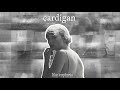 Taylor Swift - cardigan (the ‘watching aurora borealis with you’ remix)