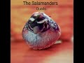 Quails - The Salamanders