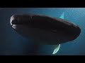 Aquarium 4K VIDEO (ULTRA HD) 🐠 Beautiful Coral Reef Fish - Relaxing Sleep Meditation Music #1
