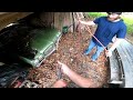 Forgotten Muscle Car Rescued From Collapsing Barn | 1972 Pontiac LeMans | RESTORED