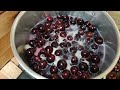 vocês conhecem essa fruta? a jabuticaba/colheita/receitas