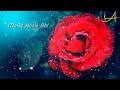 'A' Letter Romantic Status WhatsApp Song Status || Cute Song || Created By I Know Yaar