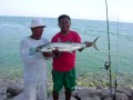 Khobar Anglers - 4.5 Kg. Tanigue (Kanaad) on 2010 Hajj Holiday
