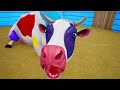 Magical Sand Cow Transformation - Cow Encounters Tiger Fox Wolf Pig | Funny Animals Fights 2024