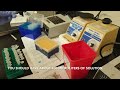 Qiagen Dneasy Blood and Tissue Kit Tutorial #1