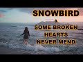 DON WILLIAMS / ANNE MURRAY~ SNOWBIRD ~ SOME BROKEN HEARTS NEVER MEND ~ Accordion with (Mick Edwards)