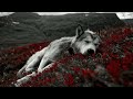 When The Wolf Comes - Siddal | Subtitulada al español