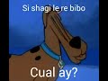 Si shagi la re bibo cual ay?