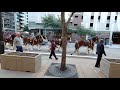 2019 Budweiser Clydesdales in Dallas at the American Airlines Center before a Mavericks game