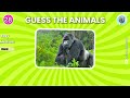 Guess The Animal Challenge