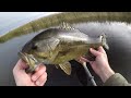 Wacky Wormin' Big Fall Smallies!