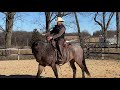 How to help your horse pickup the correct lead