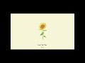 feel better vol.2 (sunflower)