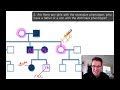 Solving a Pedigree - the Fast Way (example 2)