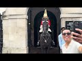 Elderly Gent and Snoozy Tourist Blocking the King's Guards Path Got A Firm Warning