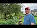 Come See Matthew's GORGEOUS Ohio Garden! :: The Southerner's Northern Garden Tour Zone 6