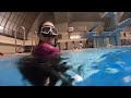 프리다이빙 체험 클래스 영상 기록
