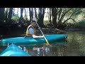 Rowing Bellingen 7