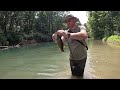 Spinning for Smallmouth Bass in a Small Creek #smallmouthbass #smallmouthbassfishing #fishing