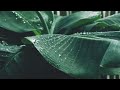 Relaxing Piano Music & Rain Sounds For Sleep, Piano is Peaceful for Soul