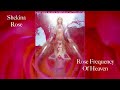 Shekina Rose -Rose Frequency of Heaven #Rose #heaven #mothermary #languageoflight