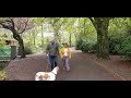 England Nature Walk| Walking Tour in Queens Park