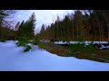 ✅Peaceful River Flowing Sound - Relaxing Nature Video - White Noise for Sleep, Study in 4K