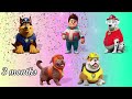 From Fat to Muscle: Pawpatrol Growing Up Transformation | ADN WORLD