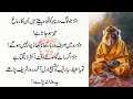 Daily Life Quotes ! Motivational Islamic Quotes ! Quotes Of The Day ! Hadees Bayan in Urdu & Hindi