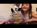 My First Pet! A Betta Fish! Pet Adoption