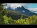 Restores The Nervous System 🌿 Stress Relief Music, Sleep Music, Meditation Music, Calming Music #15