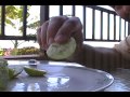 How to...Eat Cactus Fruit (Prickly Pear)