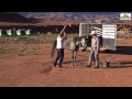 Monument Valley Land Of The Navajos -Trail Ride with Missouri Fox Trotters