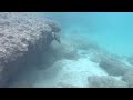 Snorkeling Ke’e Beach (Kauai, Hawaii)