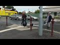 Law-Abiding Family of Swans Cross Road at Pedestrian Crossing