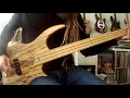 The Freedom of Fretless Bass