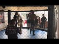 Team Revolution vs Team Rhino || Rhino Club Battle || Kickboxing 2024